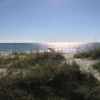 Carolyn Wright Prince's profile image