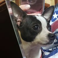 Julie Smith's profile image