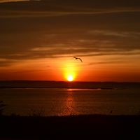 Mary Ellen Wardell's profile image