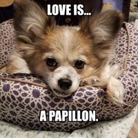 Romy Kettlewell's profile image