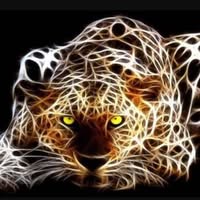 Mat Mat's profile image