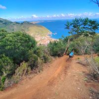 Allegra Mcgrory's profile image