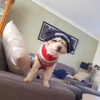 Paul Tynan's profile image