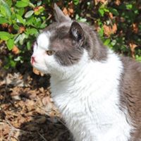 Cathie Fuller's profile image