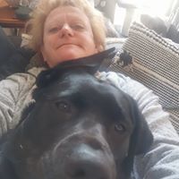Leanne Spiegel's profile image