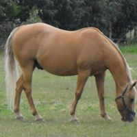 Leonie Rowlings's profile image