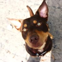 Robyn O'Hanlon's profile image