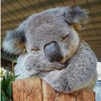 Lesley Kershaw's profile image