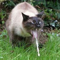 Justin Bennett's profile image