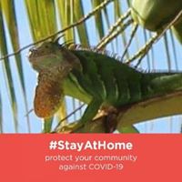 Arlene George's profile image