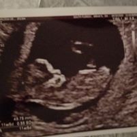 Melissa Araya's profile image