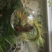 Jason Baade's profile image