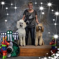 Debbie Girard Priester-Grimes's profile image