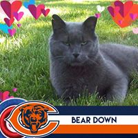 Kitty Kranz's profile image