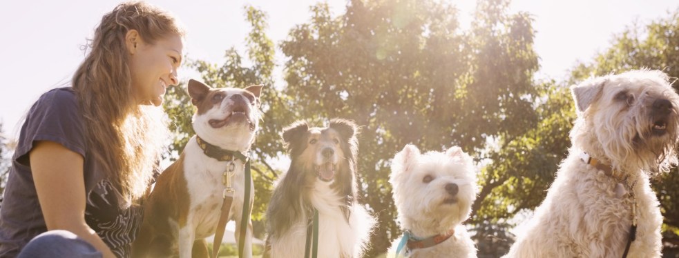 kamaka exotic animal veterinary services