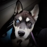 Tracy Schlottman's profile image