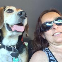 Catherine Hurst's profile image