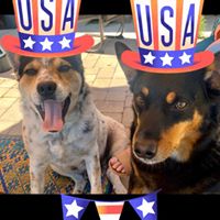 Lynn Marie's profile image