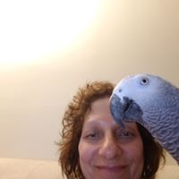 Susan Levine's profile image