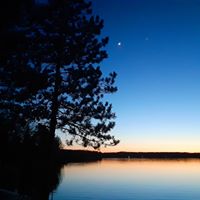 Lynn Wallis's profile image