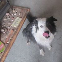 Sonia Marzec's profile image