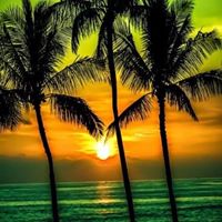 Pamela Riley's profile image