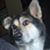 Tracy Williams's profile image