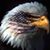 James Hutcheson's profile image