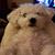 Kathy Whalen's profile image