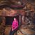 Stephanie Vandecar Leisher's profile image