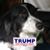 Wynter Gentry Nash's profile image