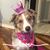 Martha Olson Adams's profile image