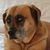 Sally Ann's profile image