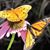 Catherine Zarn's profile image
