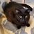 Melinda Wright's profile image