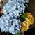 Judy Sartain's profile image