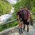 Morgan Dimery Luevano's profile image
