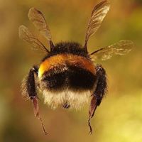 Moe OConnell's profile image