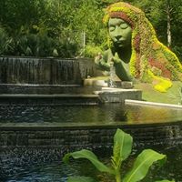 Diane Diane's profile image
