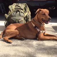 Lloyd Nechtman's profile image