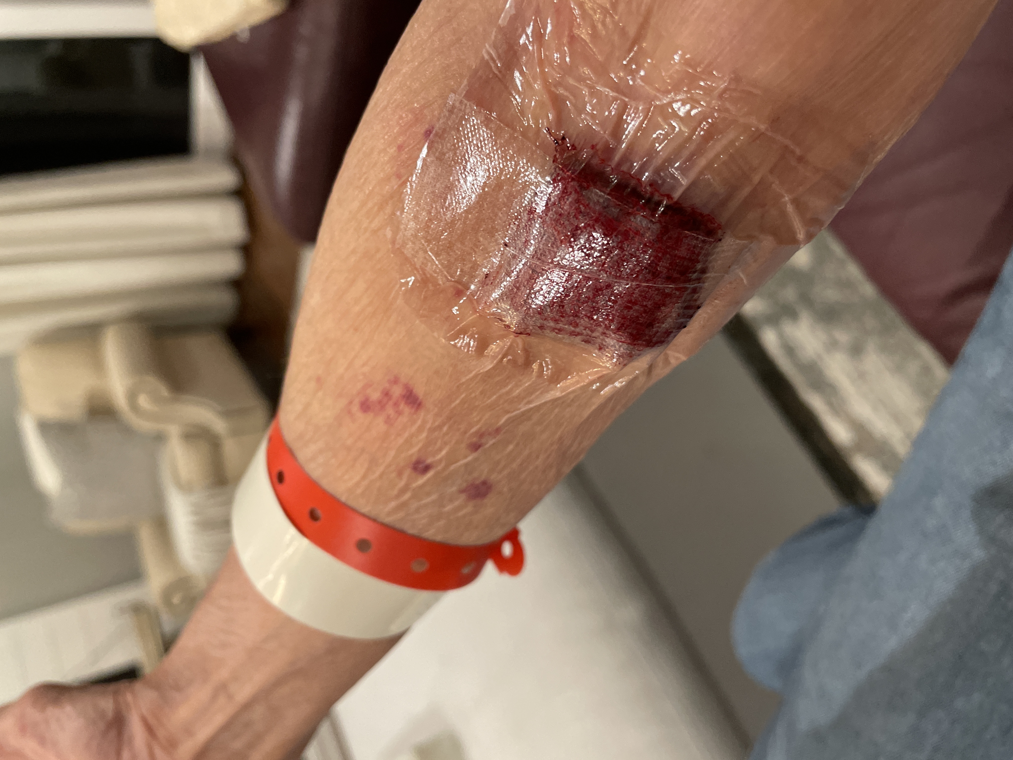 Tracy S.'s post 1