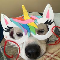 Charissa Thacker's profile image