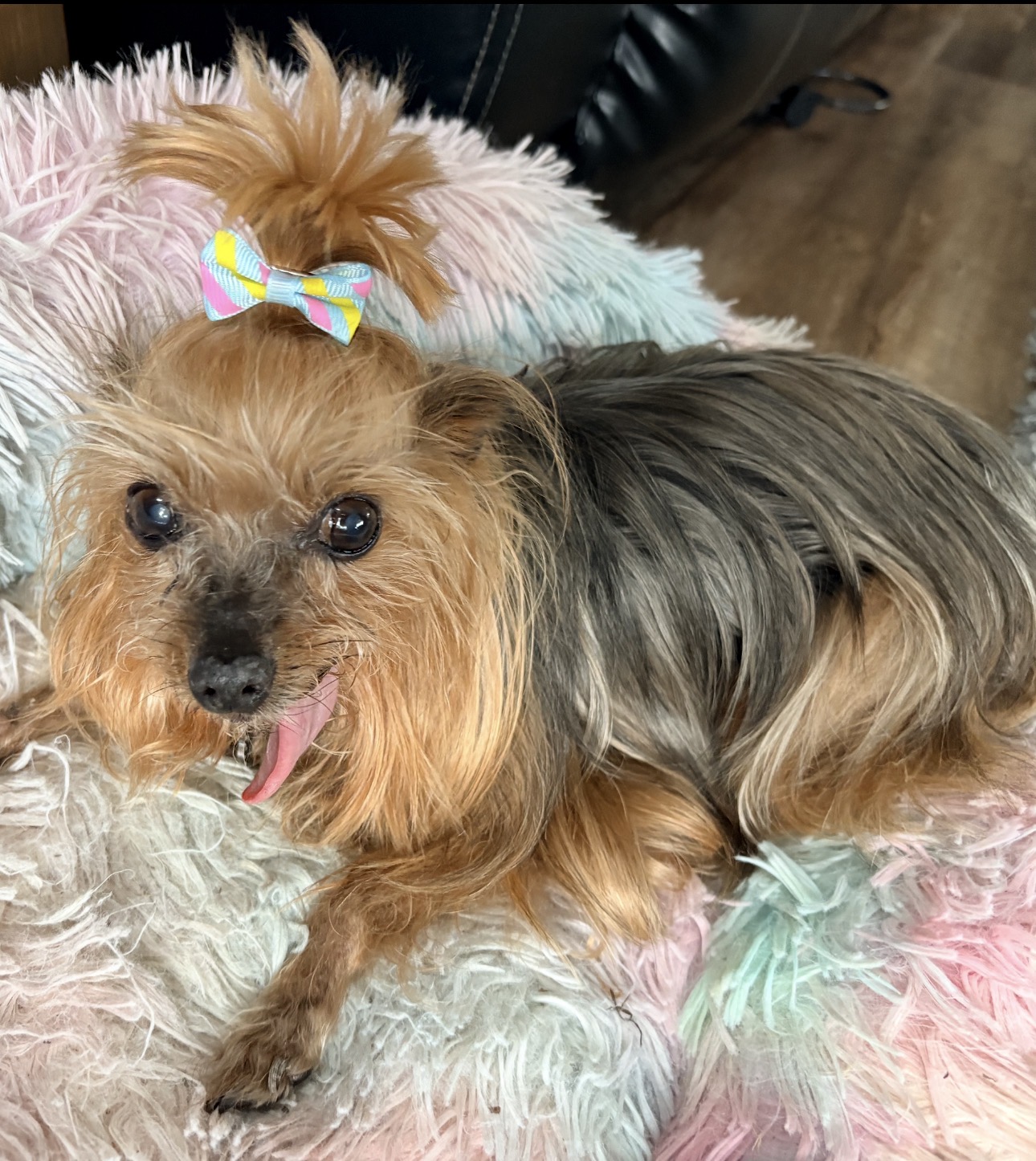Bethaney H.'s post 1