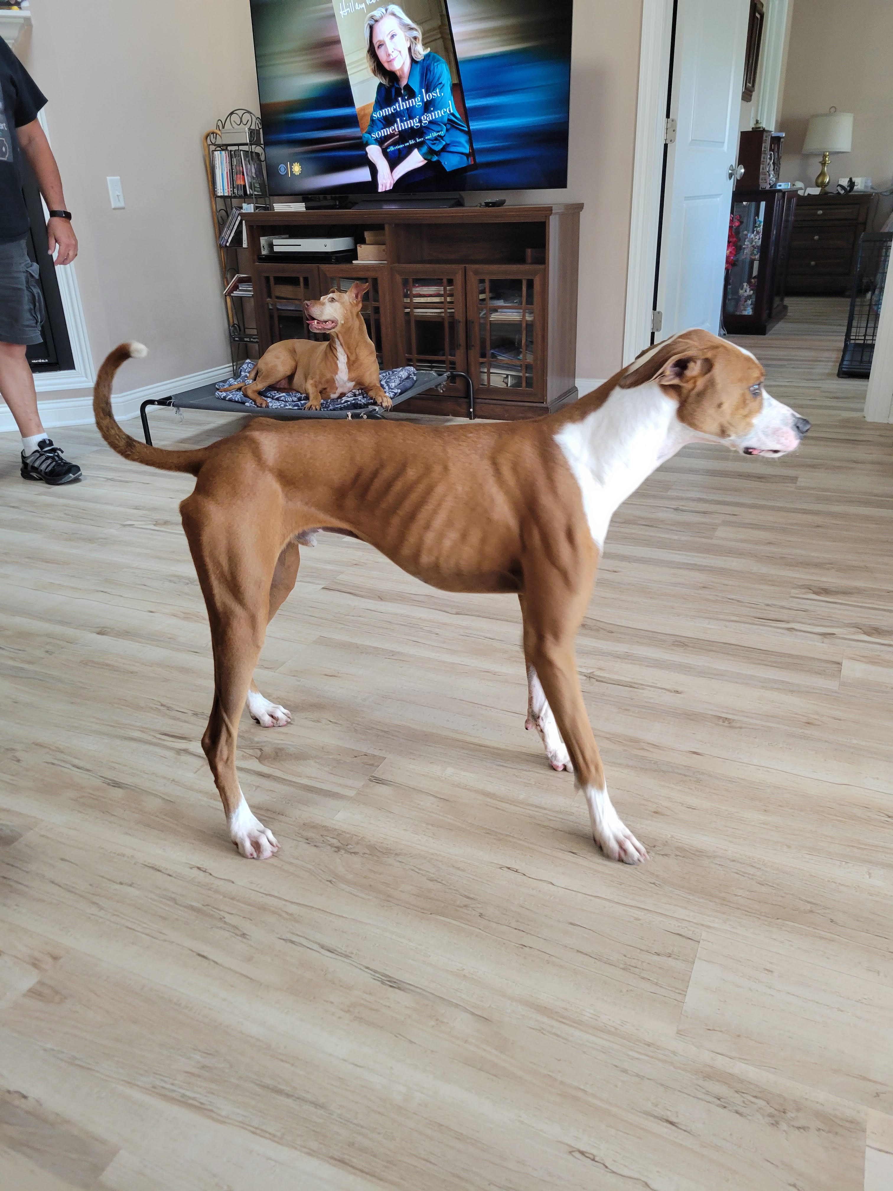 Maureen F.'s post 1