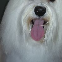 Jessica Santos's profile image