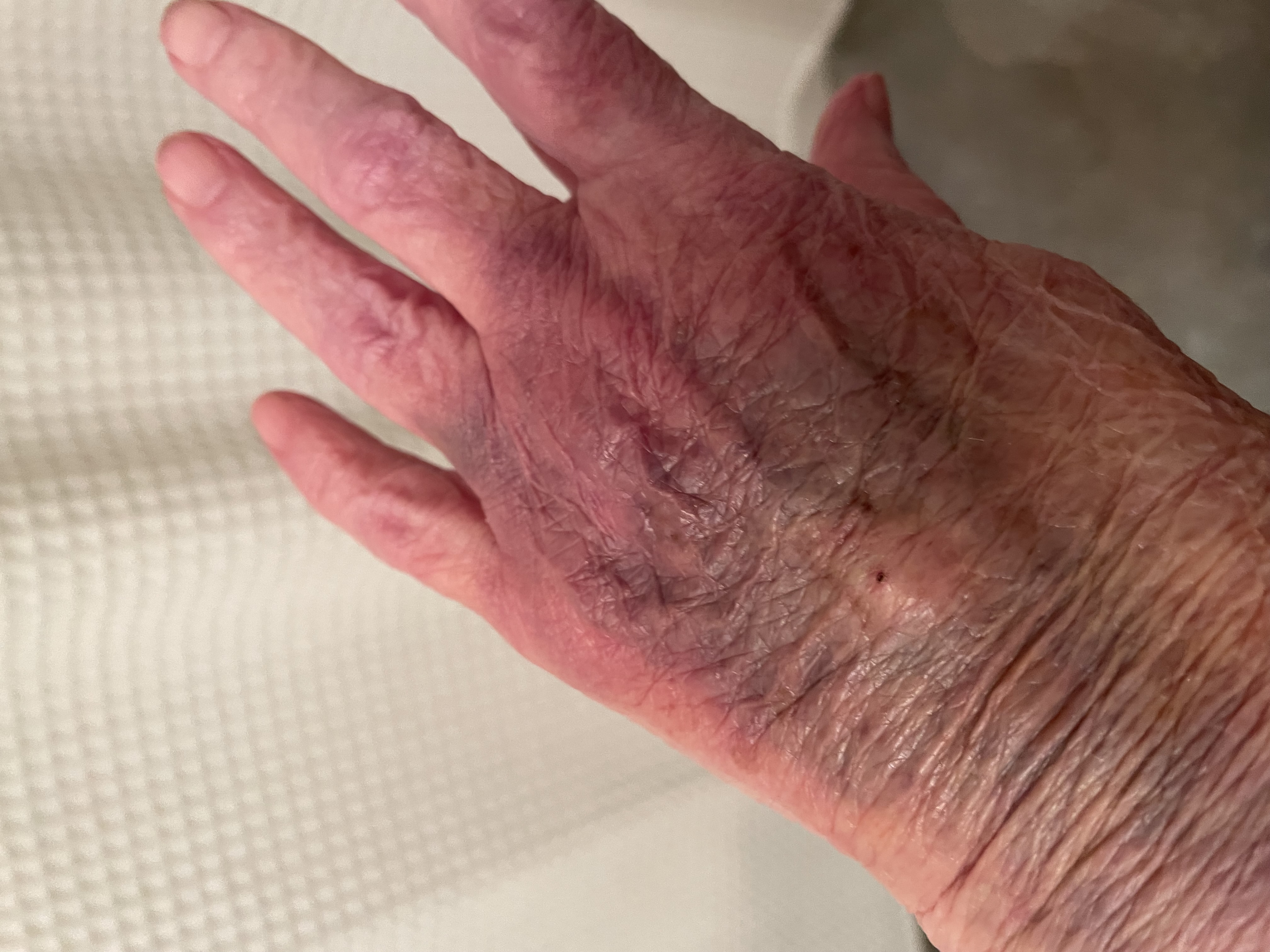 Mary C.'s post 2