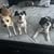 Jacque P.'s profile image