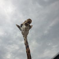 Barry Bar's profile image