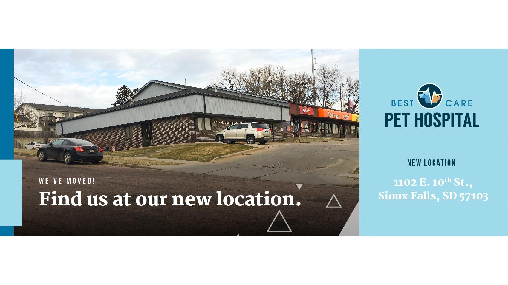 Best Care Pet Hospital's cover image