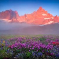 Loretta Bet-Nimrod's profile image